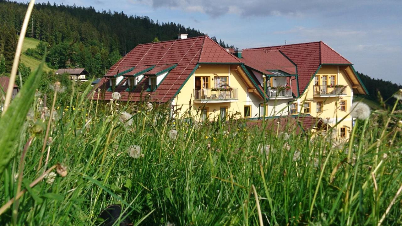 Hotel Wildwiesenhof Miesenbach  Exteriér fotografie