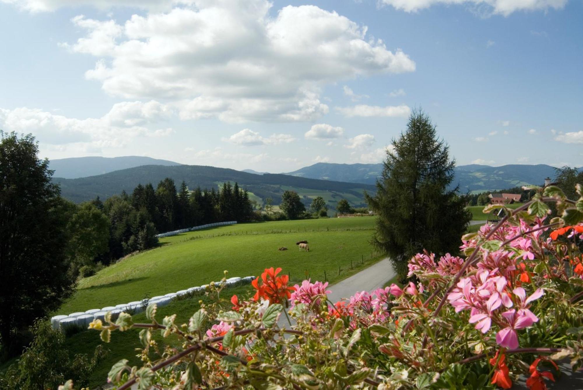 Hotel Wildwiesenhof Miesenbach  Exteriér fotografie