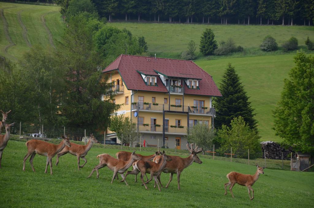 Hotel Wildwiesenhof Miesenbach  Exteriér fotografie